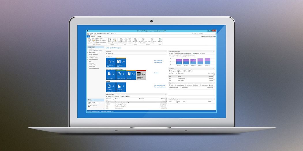 Microsoft Dynamics NAV - implementation of the project